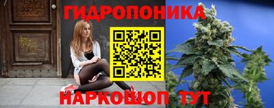 гидропоника Пушкино