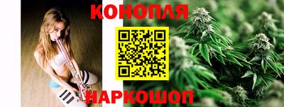 гидропоника Пушкино