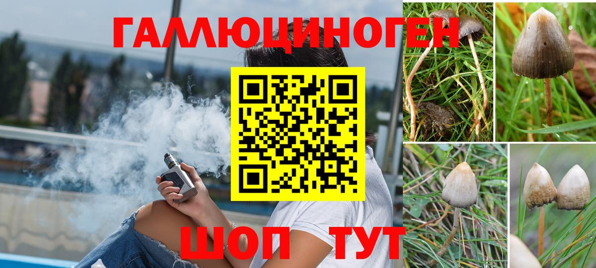 Галлюциногенные грибы Cubensis Отрадный